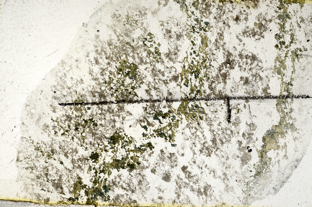 Plane Polarized, N11361