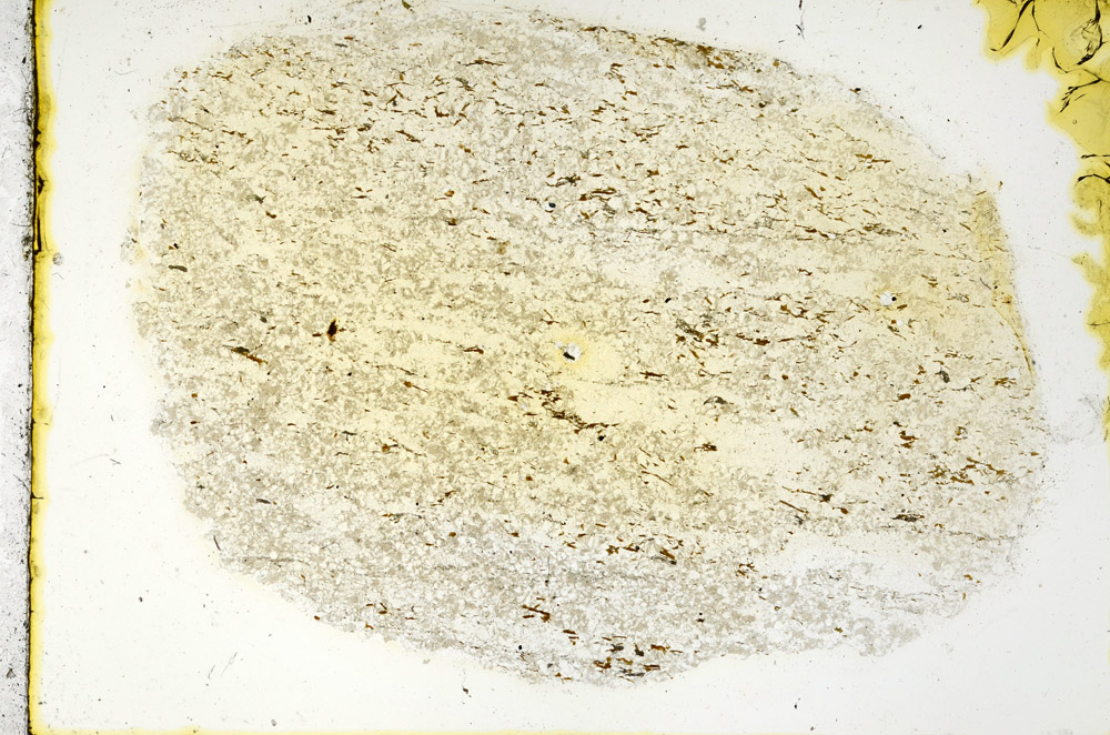Plane Polarized, N11362