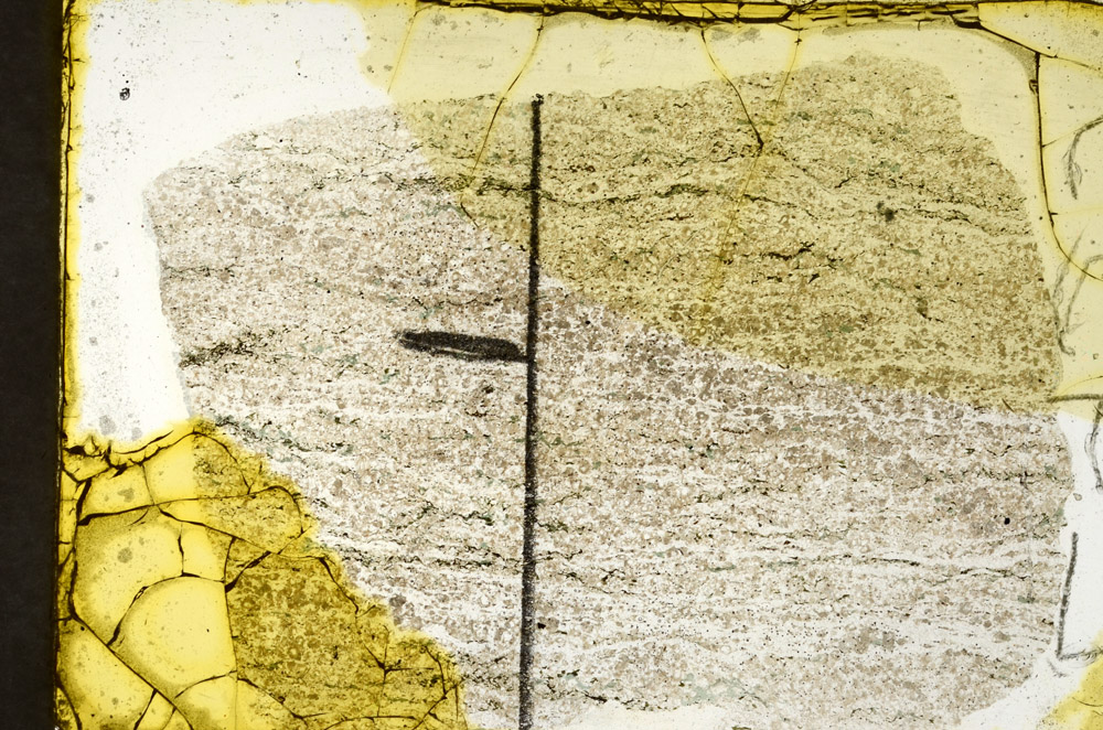 Plane Polarized, N11363