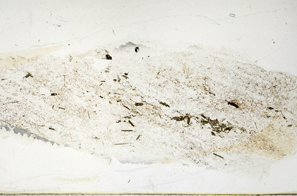 Plane Polarized, N11365