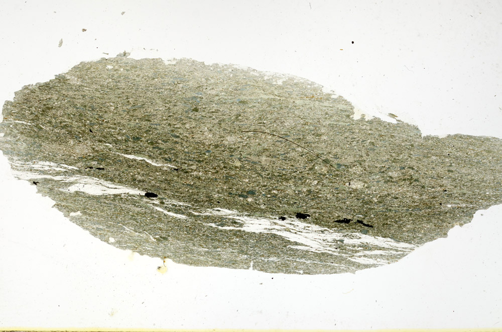 Plane Polarized, N11381