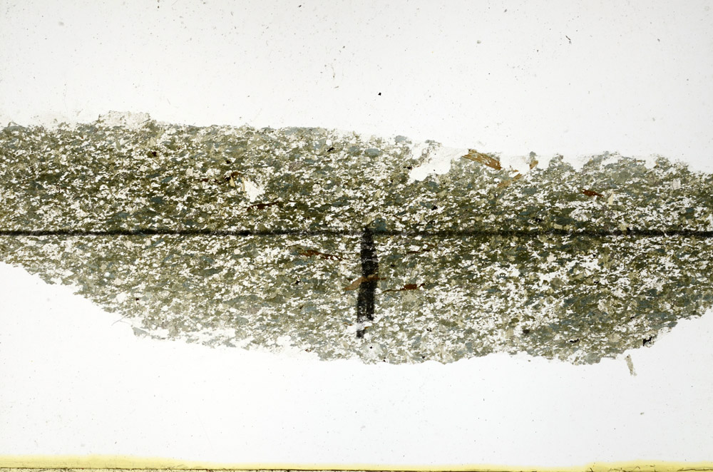 Plane Polarized, N11385
