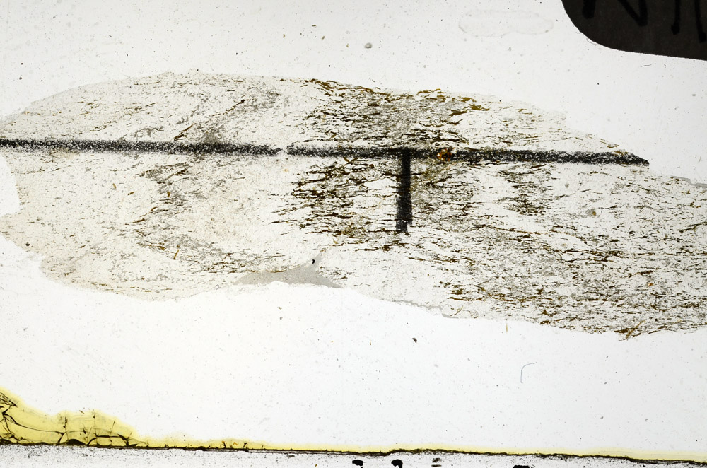 Plane Polarized, N11388