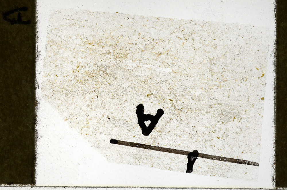 Plane Polarized, N11389/A