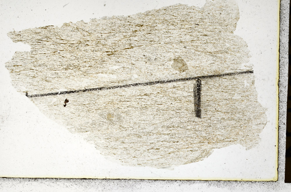 Plane Polarized, N11389/e1