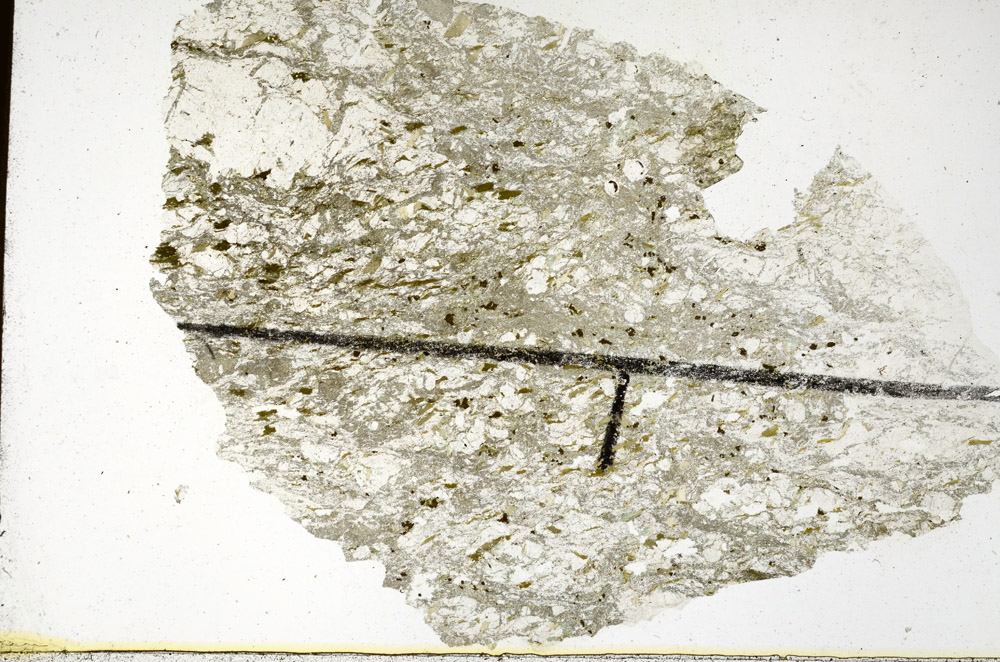 Plane Polarized, N11390