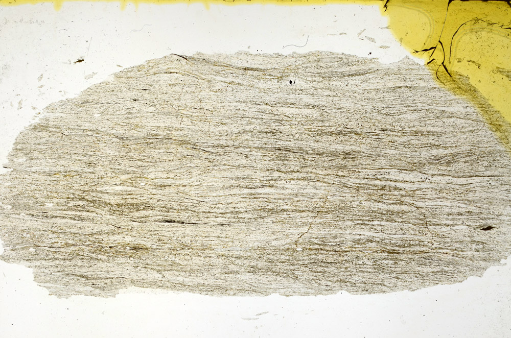 Plane Polarized, N11392
