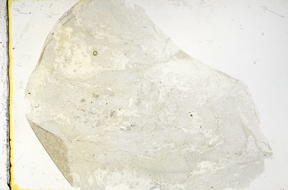 Plane Polarized, N11433