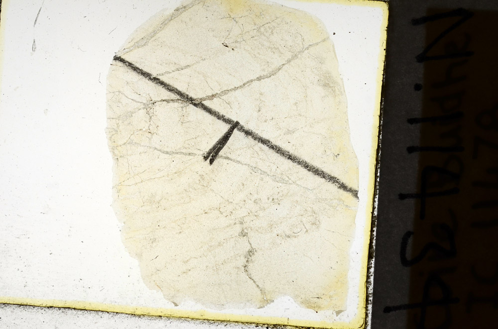 Plane Polarized, N11434