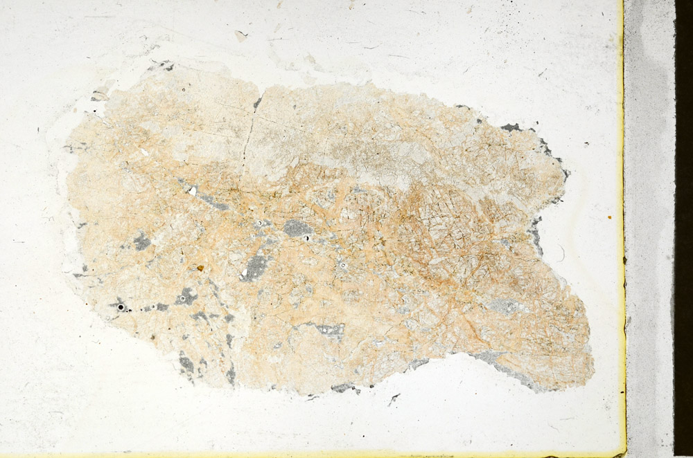 Plane Polarized, N11435