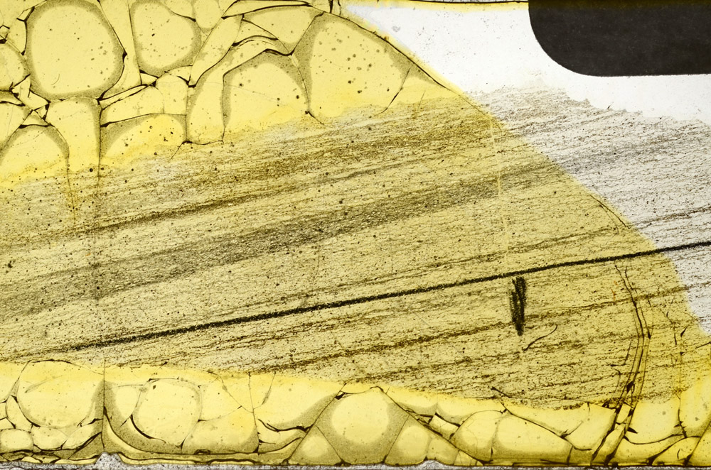 Plane Polarized, N11451