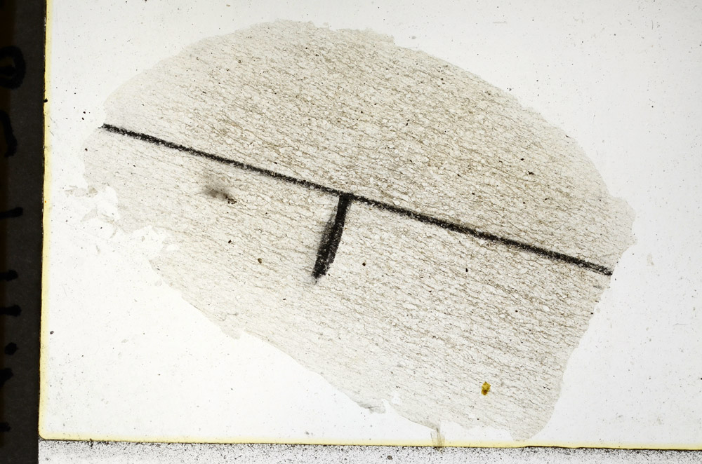 Plane Polarized, N11458/a
