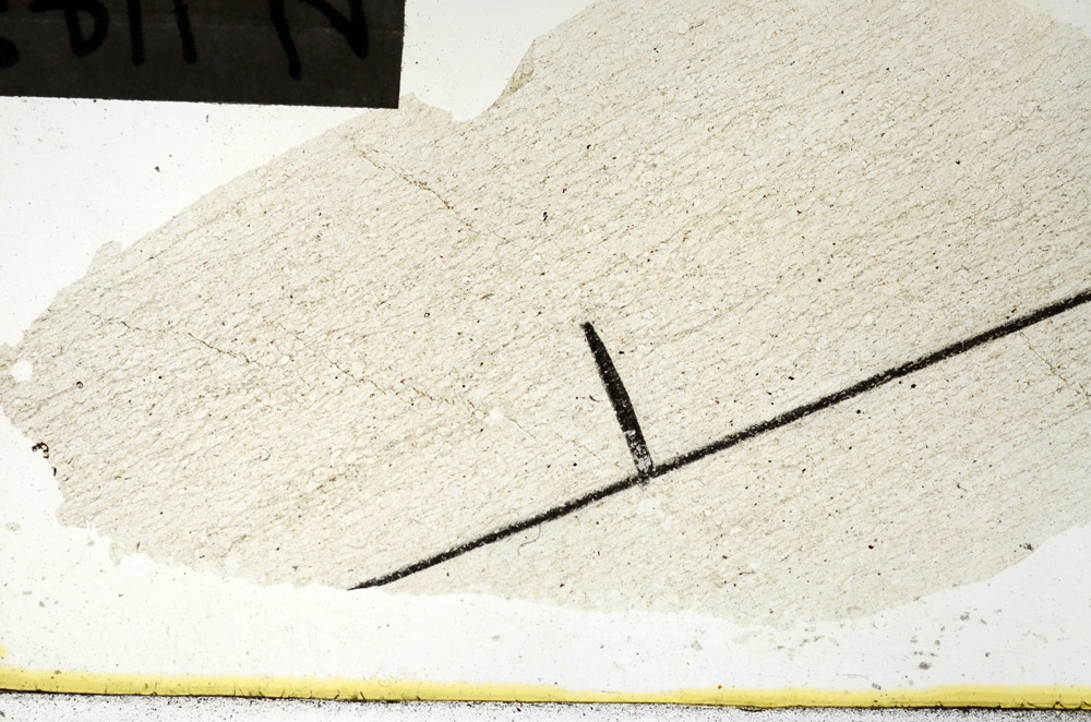 Plane Polarized, N11458/b