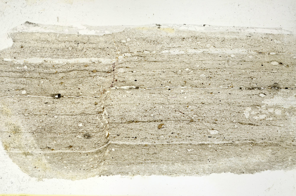 Plane Polarized, N11467/b