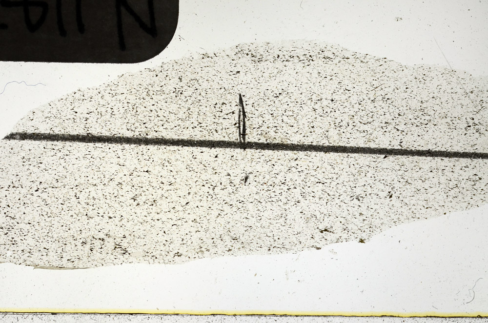 Plane Polarized, N11479