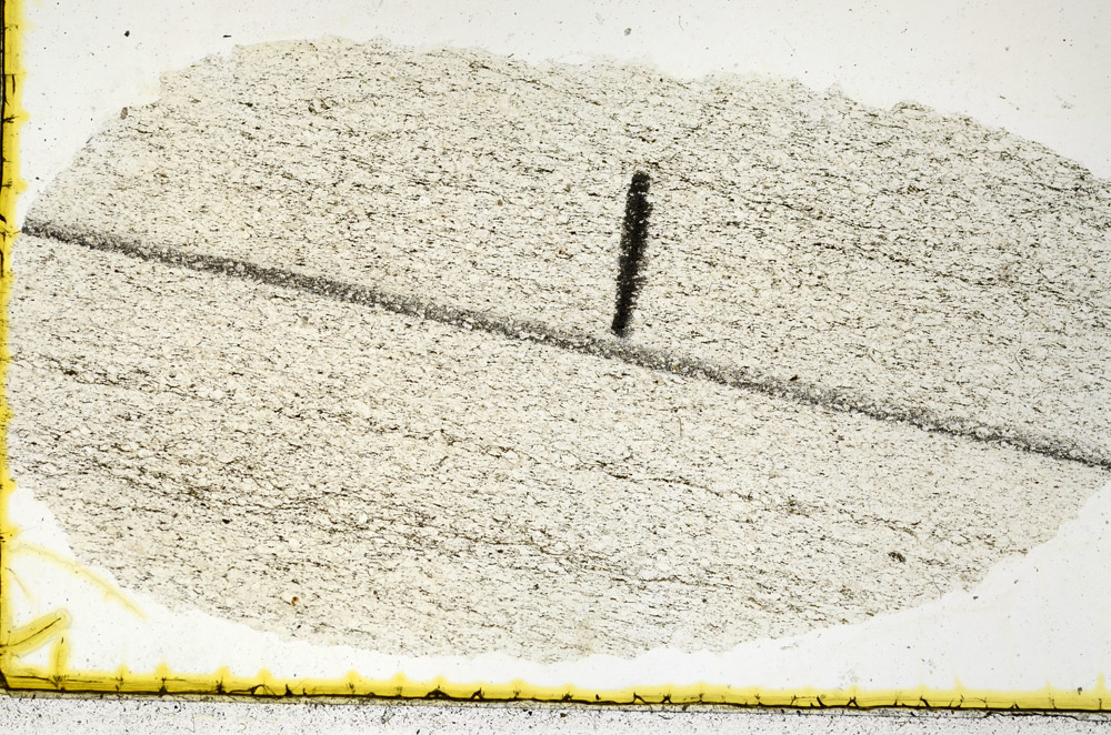 Plane Polarized, N11481