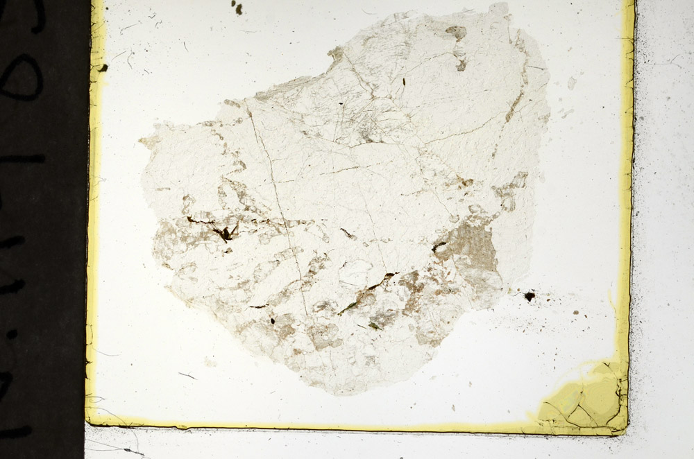 Plane Polarized, N11483