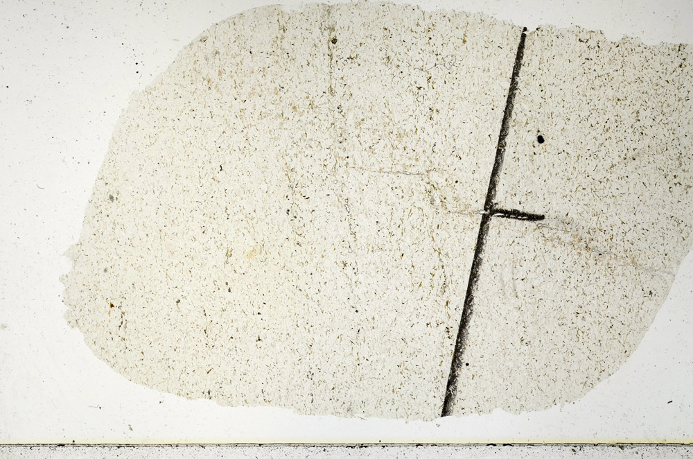 Plane Polarized, N11485