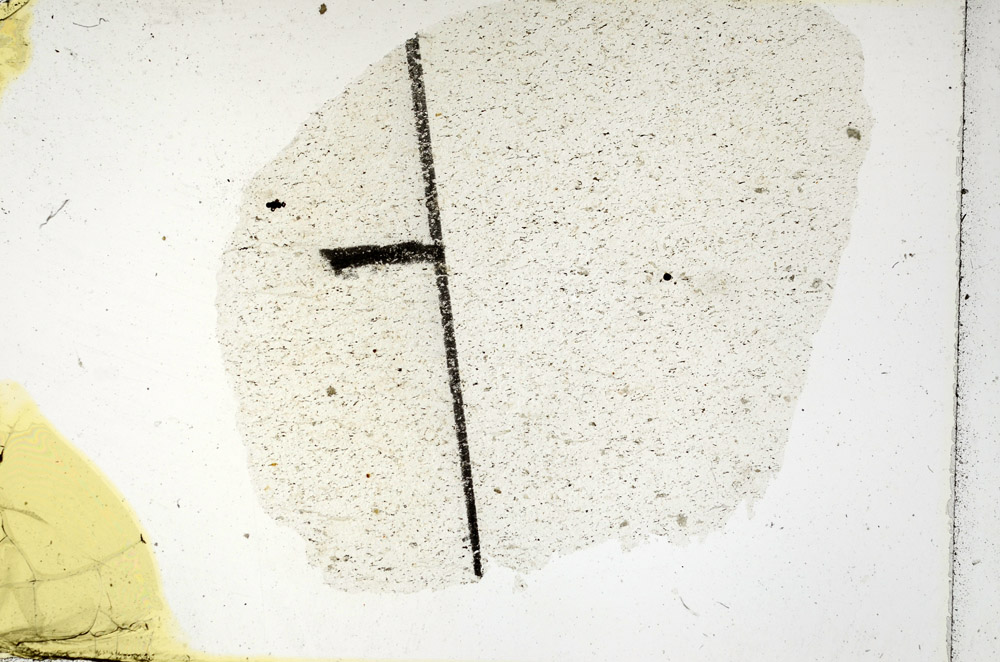 Plane Polarized, N11486