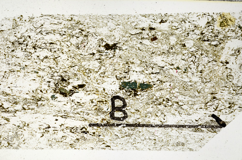 Plane Polarized, N11487/B