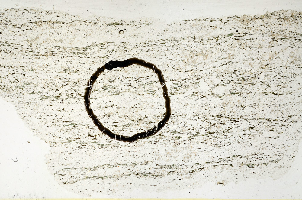 Plane Polarized, N11488