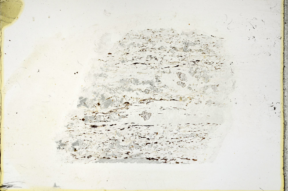 Plane Polarized, N11492