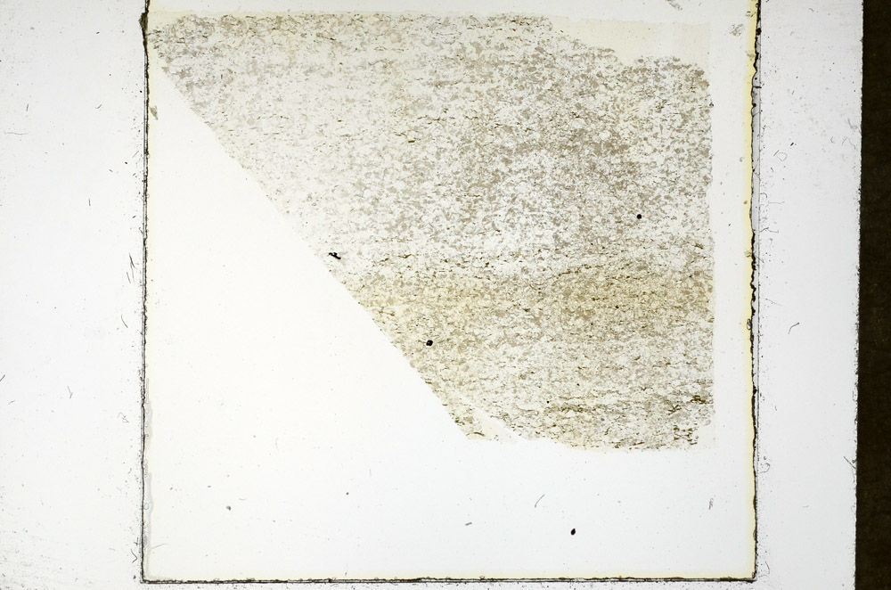Plane Polarized, N11496/C