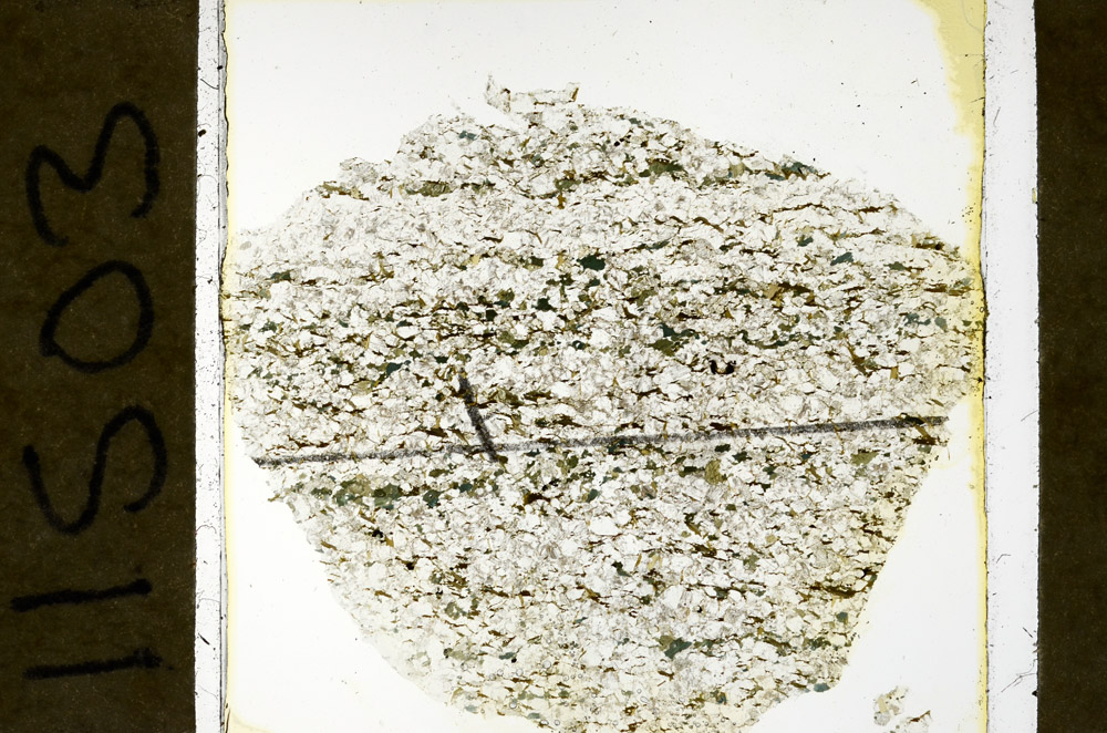 Plane Polarized, N11503