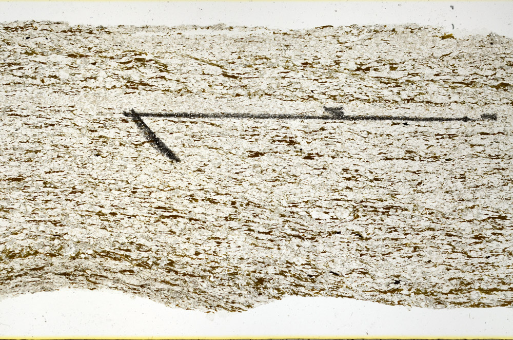 Plane Polarized, N11536/A