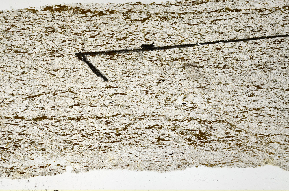 Plane Polarized, N11536/B