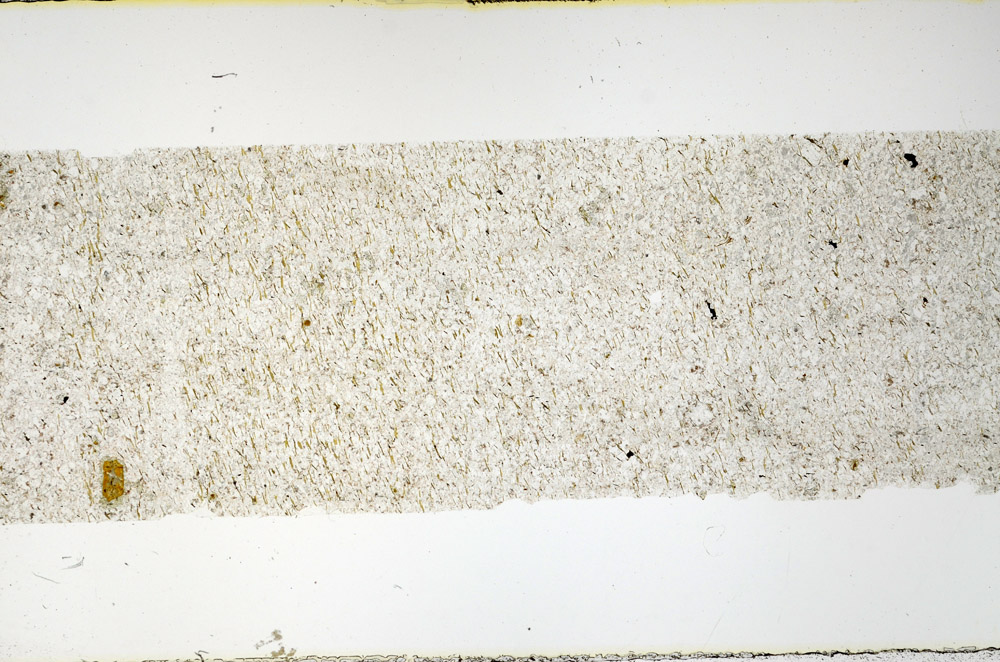 Plane Polarized, N11541