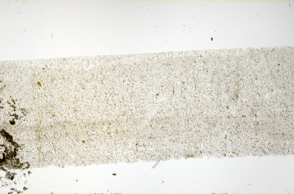 Plane Polarized, N11541/A