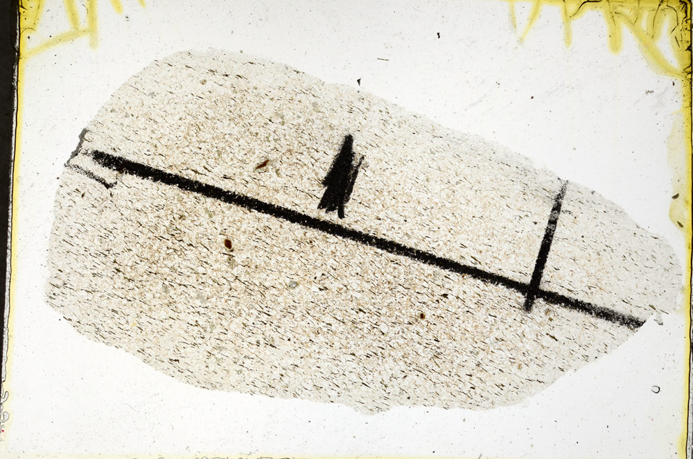 Plane Polarized, N11541/B