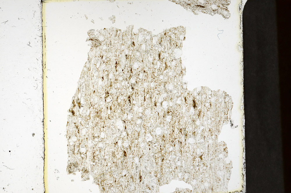 Plane Polarized, N11543