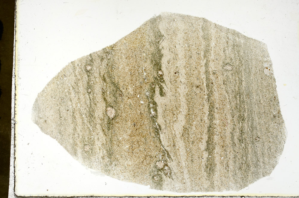 Plane Polarized, N11555