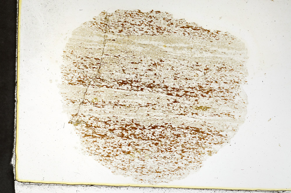 Plane Polarized, N11564