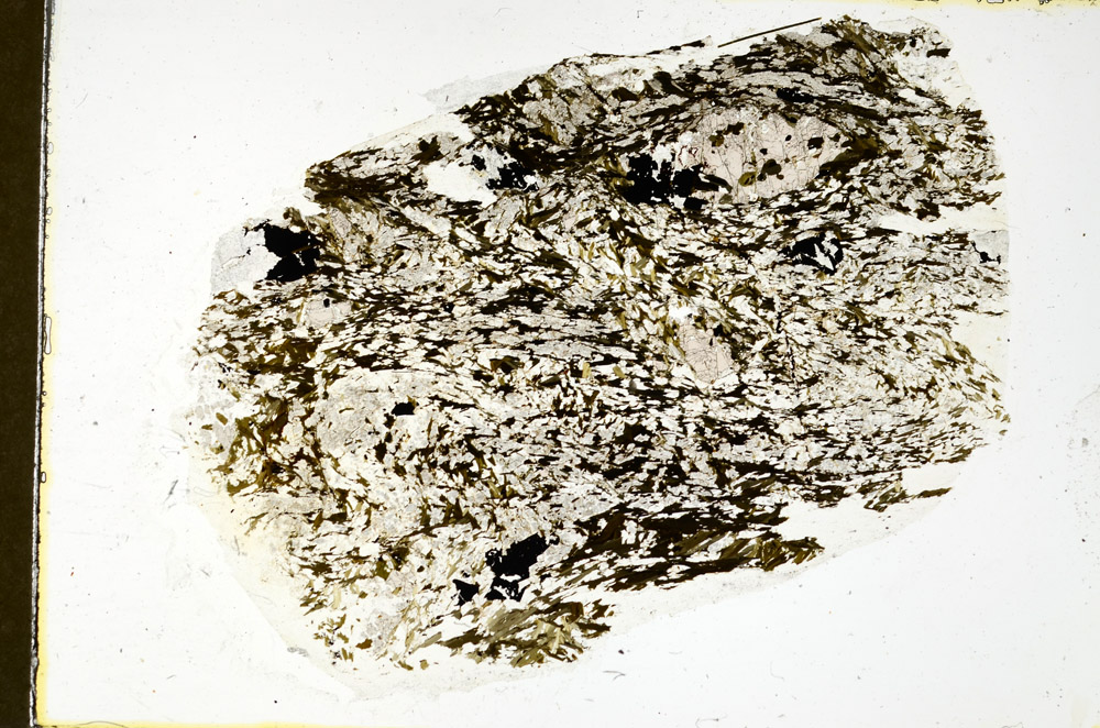 Plane Polarized, N11565