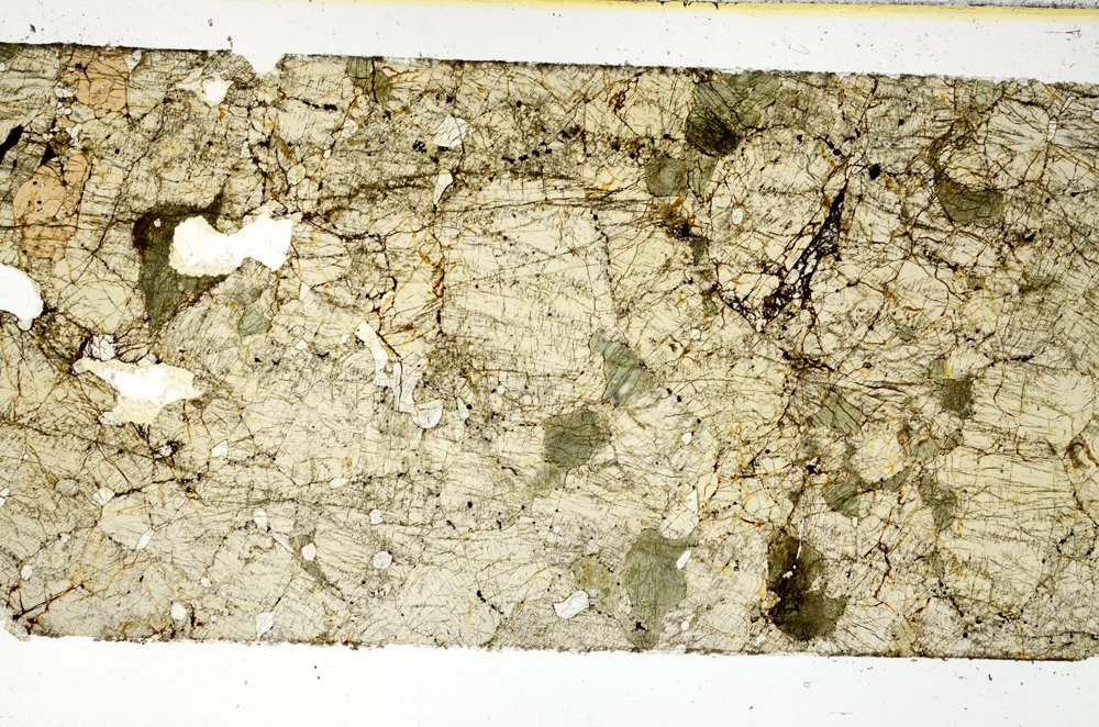 Plane Polarized, N11566/A