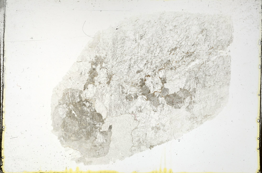 Plane Polarized, N11573