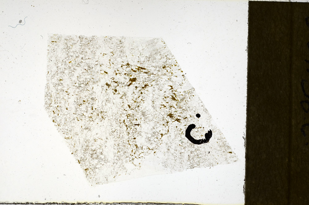Plane Polarized, N11581/c