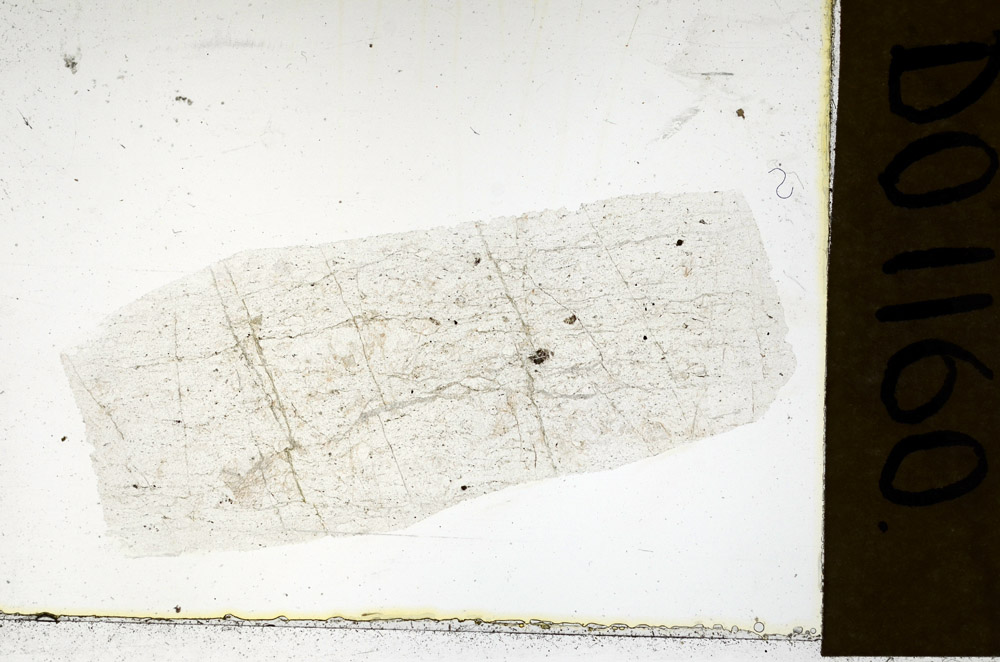 Plane Polarized, N11584