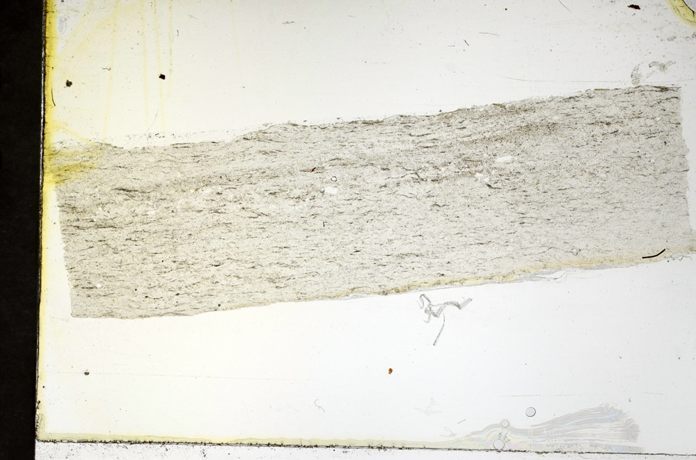 Plane Polarized, N11585