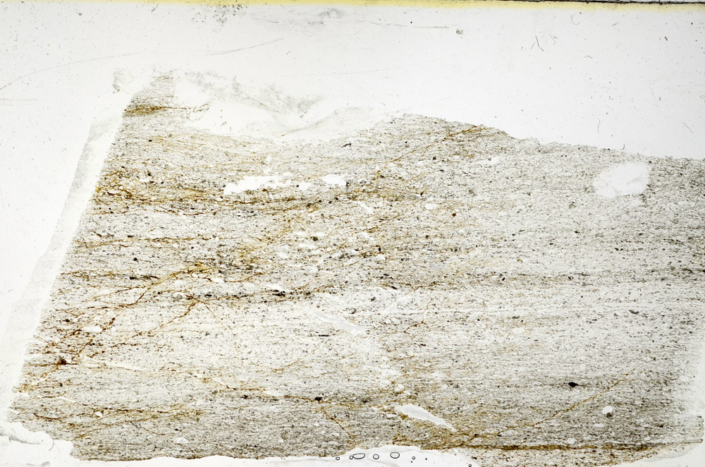 Plane Polarized, N11590