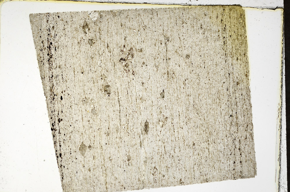Plane Polarized, N11596/A