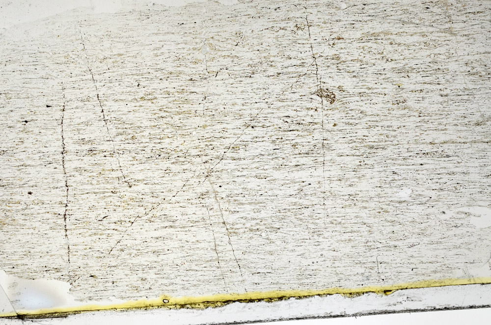 Plane Polarized, N11598/a