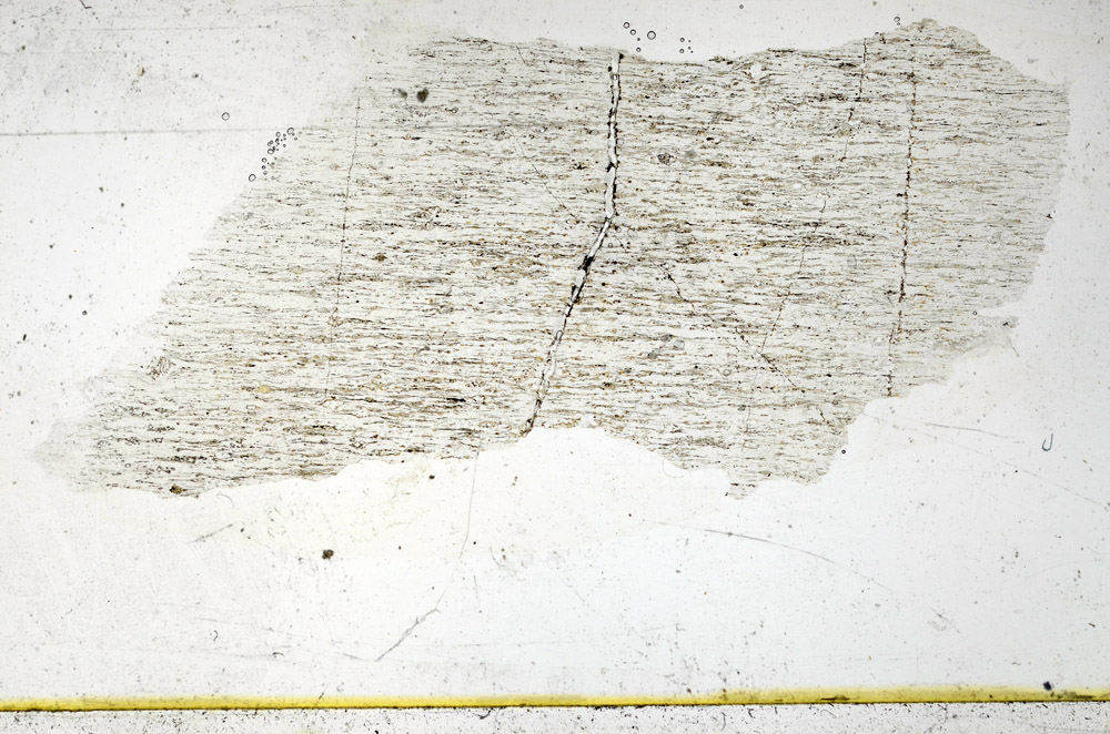 Plane Polarized, N11598/b