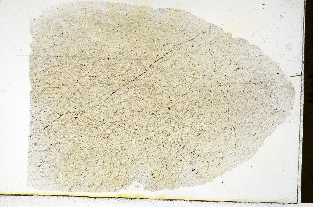 Plane Polarized, N11622