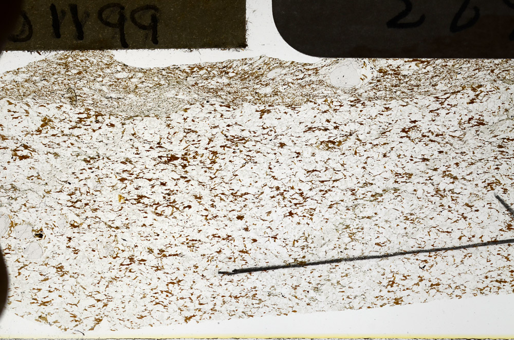 Plane Polarized, N11623