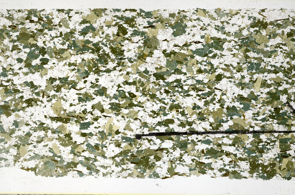 Plane Polarized, N11629/A
