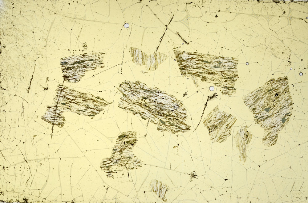 Plane Polarized, N11637